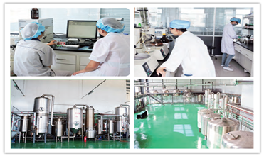 Einecs 232-554-6 isomalto-Oligosaccharides Oplosbare Dieetvezel 4